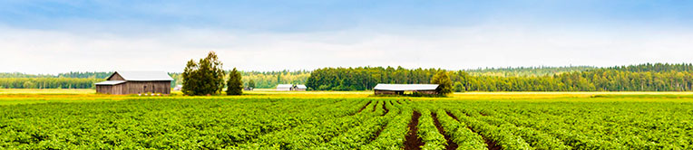 Agriculture in Langlade County, Wisconsin