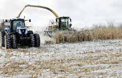 A corn harvester worked near Mattoon on a sunny, but wintry day recently. 