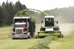 An Antigo Daily Journal photo shows forage being chopped and loaded on Angle Road in mid-June, 2014.