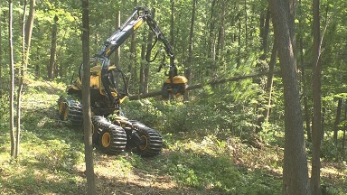 Logging Equipment Demo Channel 12 News