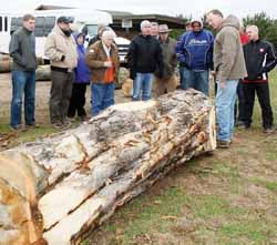 Kretz industrial forester Al Koeppel gave lawmakers a primer in the values of various types of hard maple Thursday.