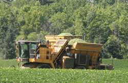 Pea harvesting machinery worked in a field near the intersection of Highways C and HH southwest of Antigo recently. Both machines are loaded with the crop in a very lush setting. 