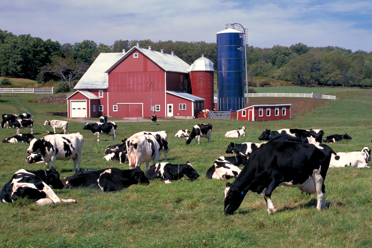 Agriculture Langlade County Economic Development